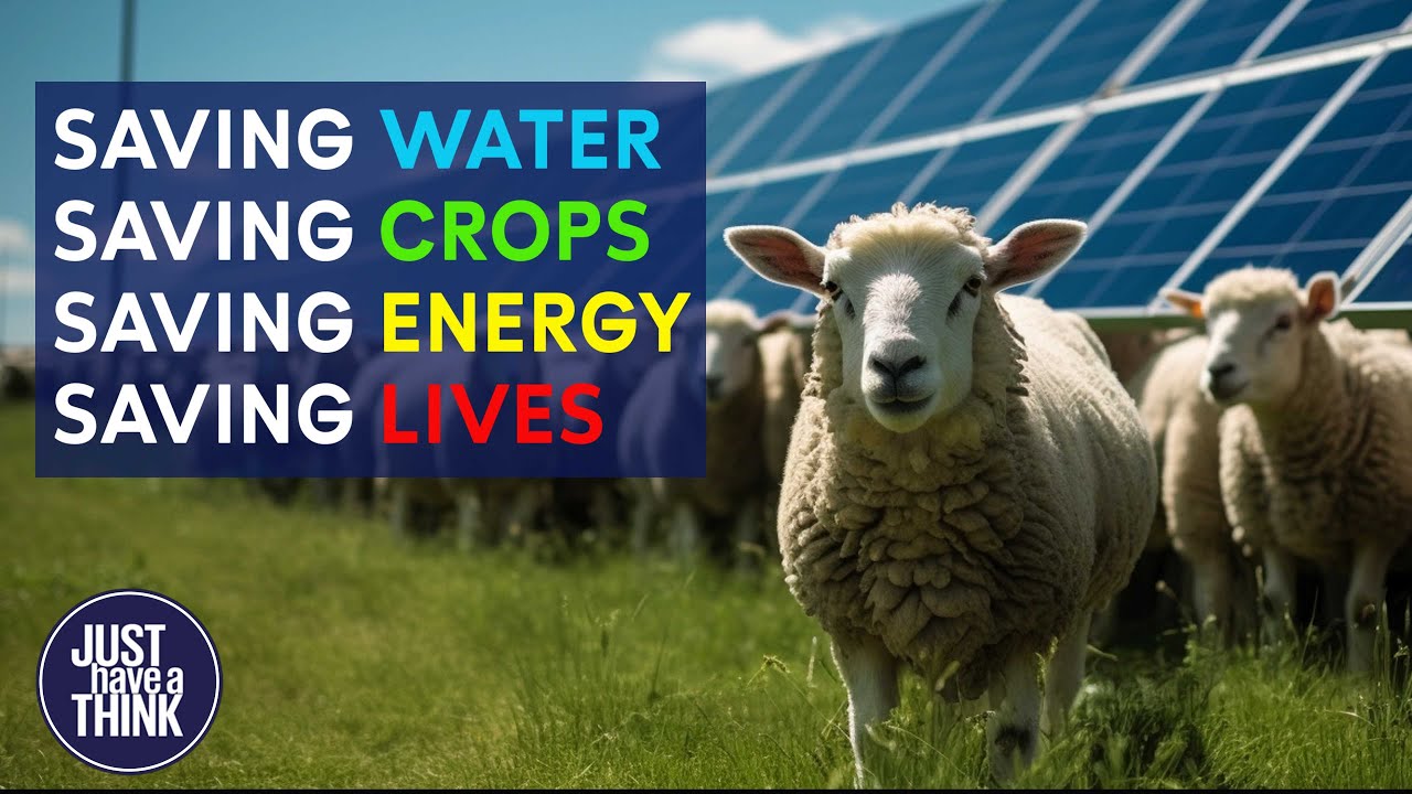 Solar panels above waterways and farms. WIN-WIN!