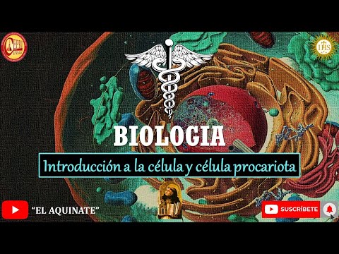 Biología, introducción, célula procariota, bacterias Gram (+) y (-)