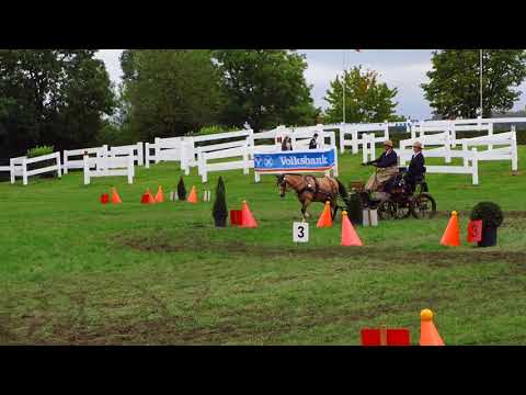 Fahrturnier Ostenfelde 19.8.2017