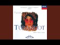 Puccini: Turandot / Act 3 - "Tu che di gel sei cinta! (extract)