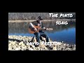 THE PINTO SONG BY DAVID PRESTON