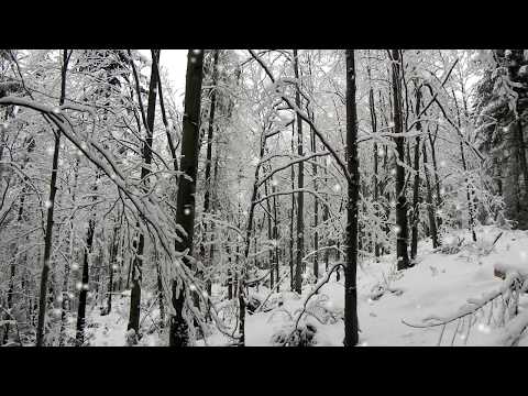 🎶 🌨 Carlos Nakai - 2 Hours of Native American Music with Wind & Birds Sounds for Winter Season 2#