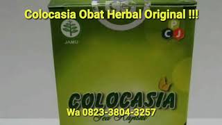 Download lagu Manfaat Colocasia Obat Herbal Sendi Dan Tulang mp3 Download lagu Manfaat Colocasia Obat Herbal Sendi Dan Tulang mp3