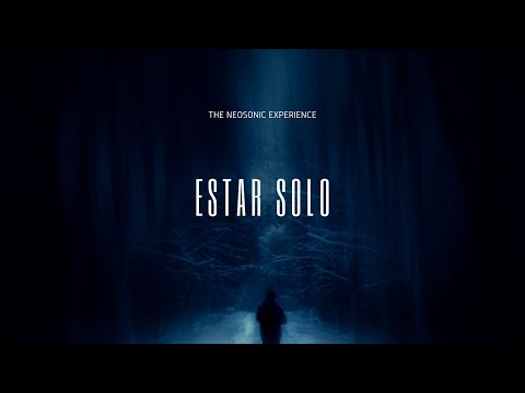 The Neosonic Experience -  Estar Solo (Los Prisioneros cover)