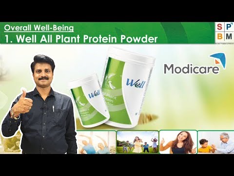Well All Plant Protein Powder