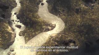 From Dust - Video#1 TECH DEMO [Spain]