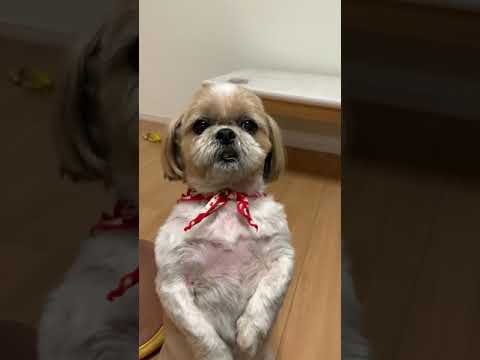 姿勢が良いんです。