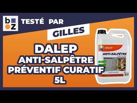 Anti-salpêtre - préventif curatif – sans odeur DALEP