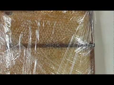 Apicultura - Bio Stupul prof. Ursu medaliat cu aur la salonul Inventica 2011 de la Iasi