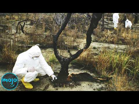 Top 10 Events in the 80s that Changed Things FOREVER