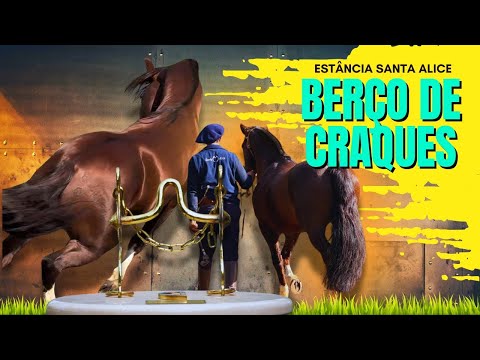 Estância Santa Alice, birthplace of Crioulo horse experts!