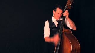 Double Bass, upright bass, Contrebasse, Blues by Stephane Barral !