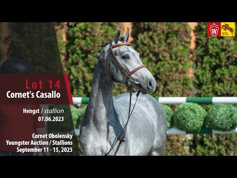 Cornet Obolensky Auction Lot 14 Cornet's Casallo Hengst v. Cornet Obolensky - Casiro I