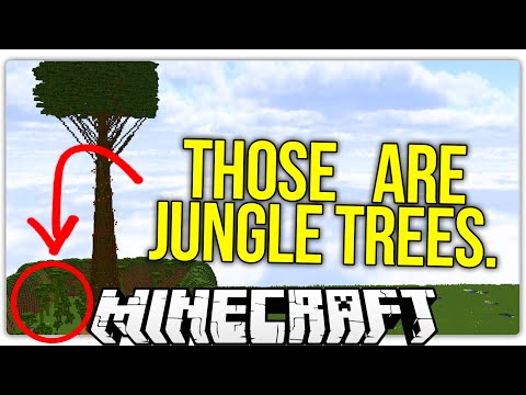 What Lies at The Top of Minecraft's Tallest Tree?
