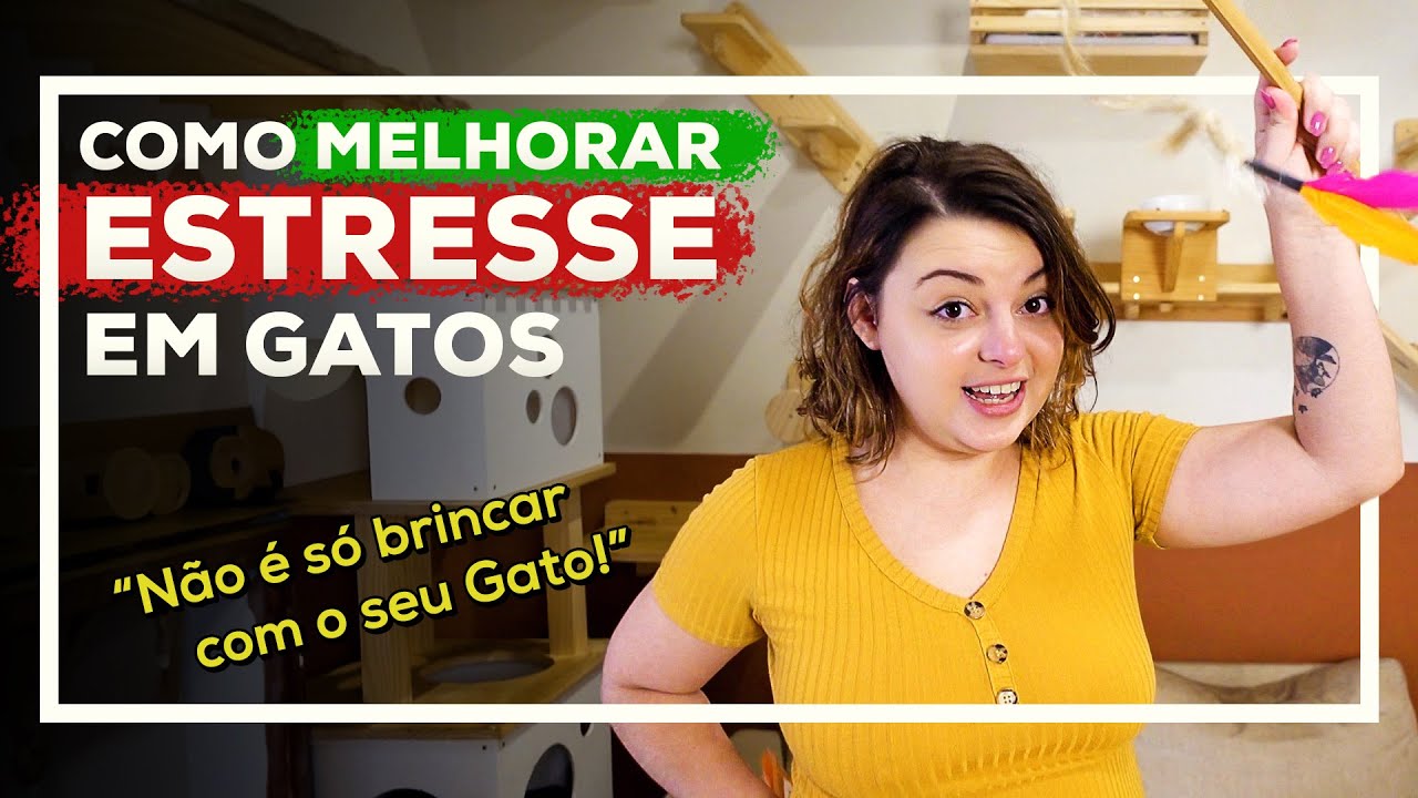 COMO deixar o Gato MAIS FELIZ | Dia do Gato