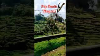Download lagu Pop sunda Tisaprak#shorts #duet #cover #dangdut #karaoke #musikdangduterbaru #popsundahits #podcast mp3 Download lagu Pop sunda Tisaprak#shorts #duet #cover #dangdut #karaoke #musikdangduterbaru #popsundahits #podcast mp3