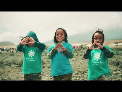download lagu mp3 mp4 Music From The Land Of Aloha, download mp3 Music From The Land Of Aloha free download, download mp3 Music From The Land Of Aloha