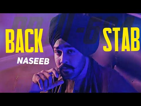 Vairi jithe mile othe lamba paida, Dhokha sajna de naal ni kamayi da | New Trending Song Nseeb Song