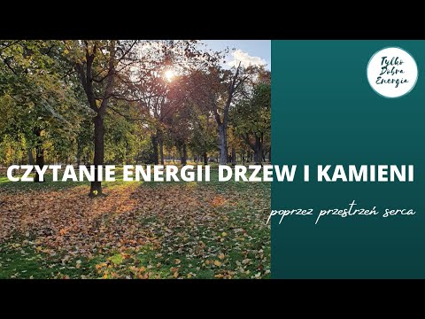 ENERGIA DRZEW I KAMIENI czytana z przestrzeni serca