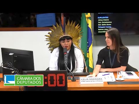 Amazônia e dos Povos Originários e Tradicionais - Eleição de vice e votação - 21/03/2023