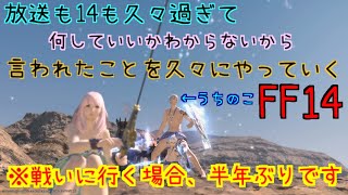 ［FF14］半年ぶり！久々に戦犯しにいくぞぉおお！！
