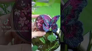 LaHome - phòng trọ cho khách hướng nội