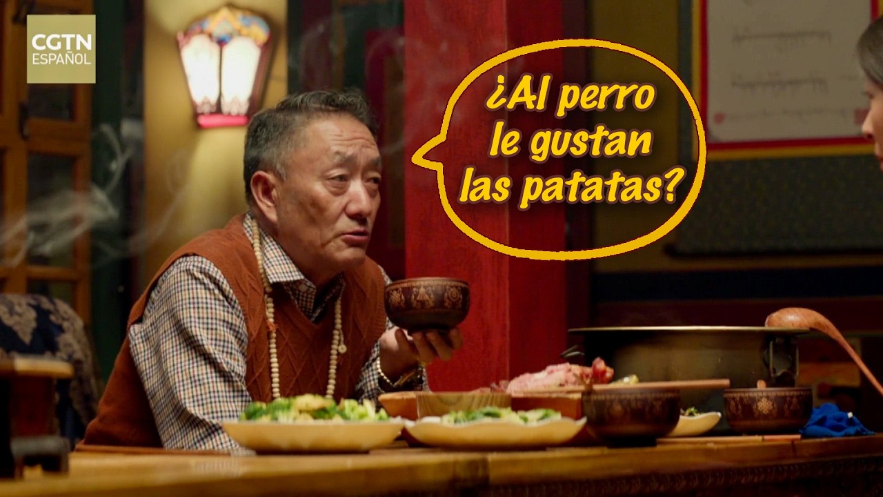 Ciudad del Sol | ¿Al perro le gustan las patatas?
