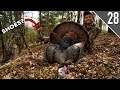 AFTERNOON TURKEY HUNTING In My SOCKS Kentucky Public Land