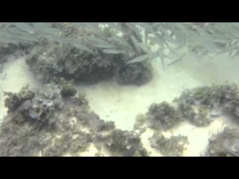 Janaka Beach House - Unawatuna