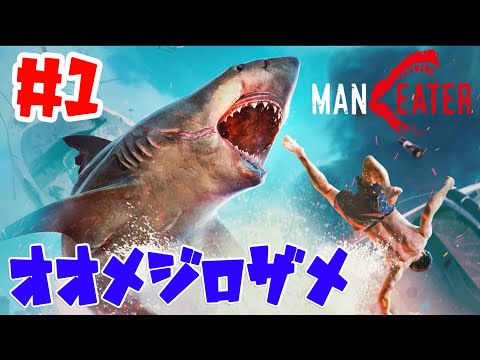 オオメジロザメまたはマンゴナザメ