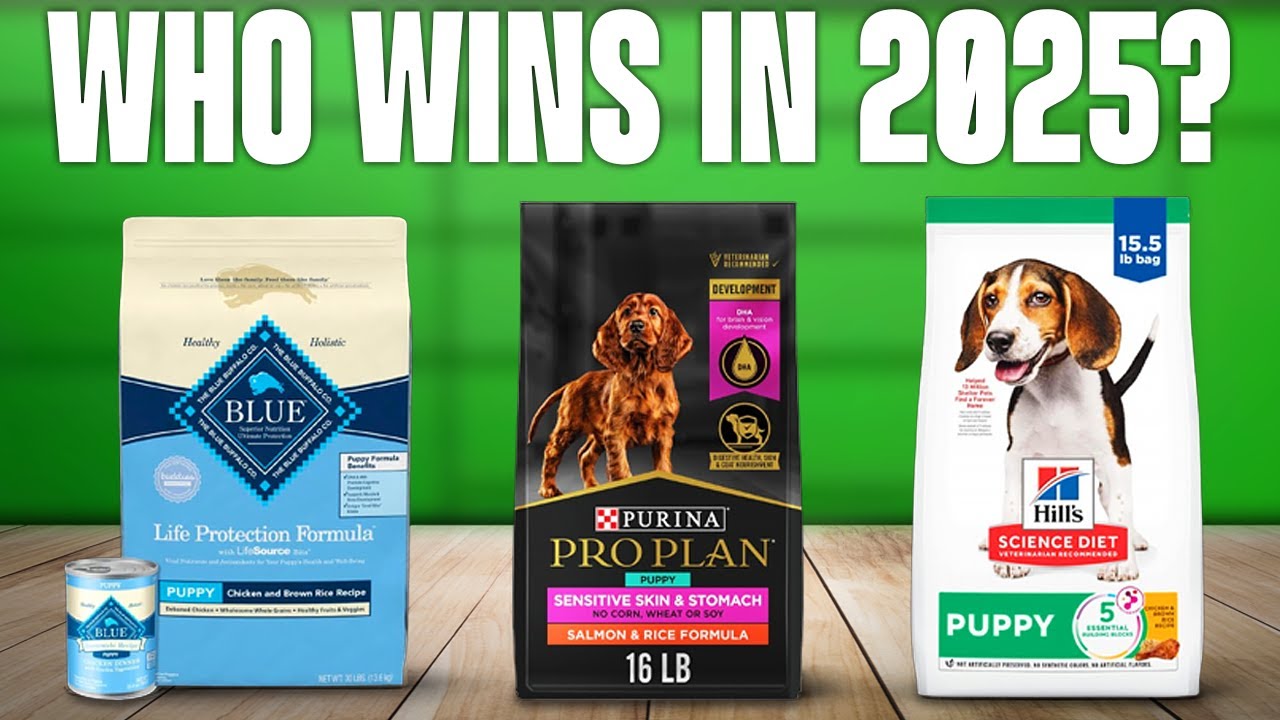 TOP 5 Best Puppy Foods 2025
