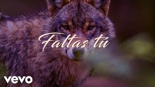 Los Temerarios - Faltas Tú (LETRA)