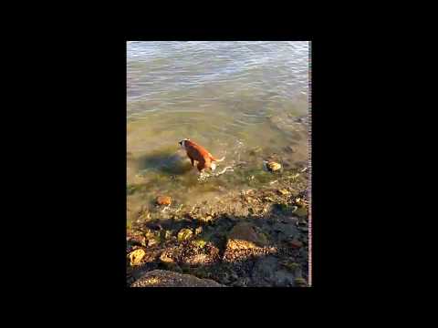 Палки - для слабаков!