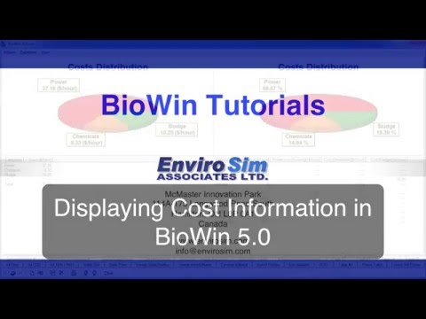Displaying Cost Information in BioWin