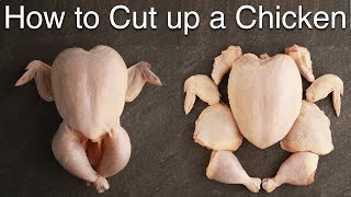 Chicken Breakdown and Salting (Whole Chicken Series, Part 1)