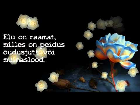 Mari-Leen - Kiirteel (with estonian lyrics)