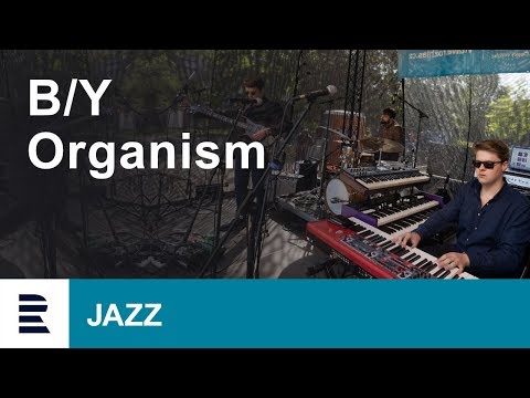 B/Y Organism LIVE | Mezinárodní den Jazzu | International Jazz Day 2019
