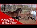 Clinton Anderson Presents Running Scared Training An Aggressive Horse