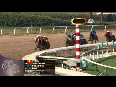 CALIDOSCOPIO 2012 Breeders' Cup Marathon