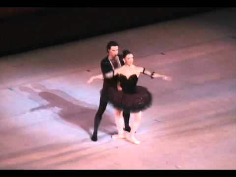 Lorena Feijoo  Joan Boada - Don Quijote.