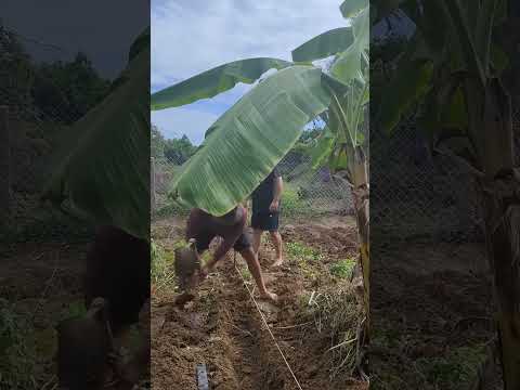 3-Day Permaculture Workshop: Success Highlights!