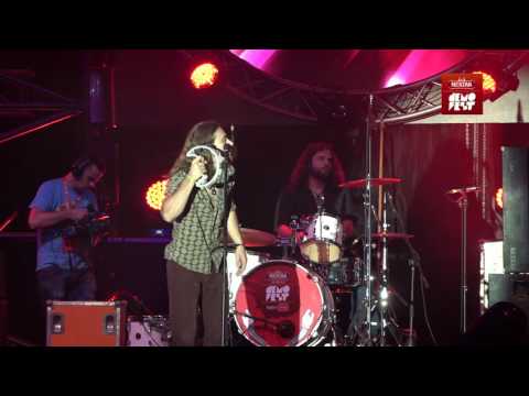 Bad Mushrooms @ Demofest 09 - drugo polufinale