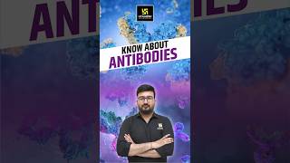 Know About Antibodies | CUET Biology #biology #antibodies | Shubham Sir