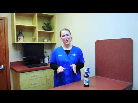 YouTube video about: Can skunk spray kill a cat?
