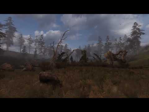 S.T.A.L.K.E.R. CS Atmosphere - Symbiont Anomaly