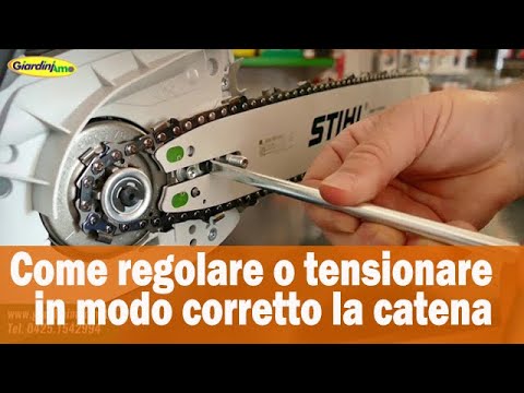 Miniatura Video
