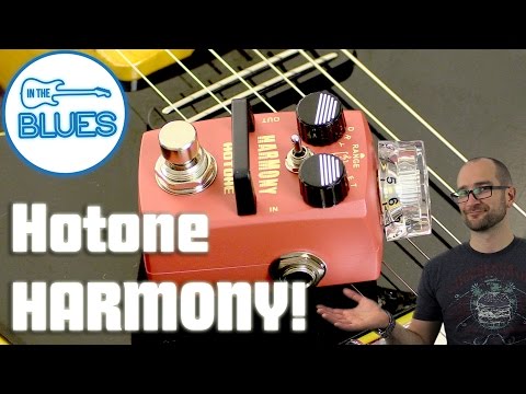 Hotone Harmony Digital Polyphonic Pitch Shift Shifting Organ 12 String Detune Guitar Bass Effects image 3