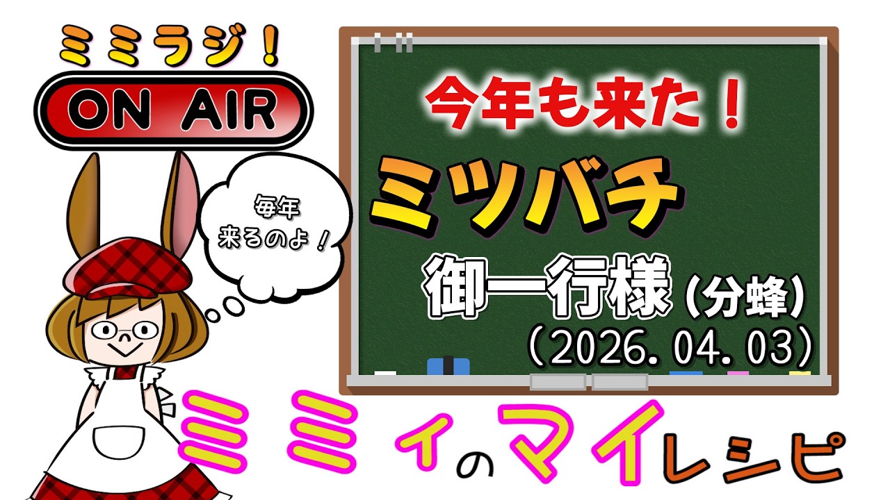【ミミラジ】ミツバチが来たら春だなぁと思います。(2026.04.03)