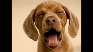 I Hope You're Feeling Me (Cover Song)