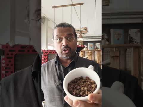 Kaffeevorstellung - Puella - Brazil Santos